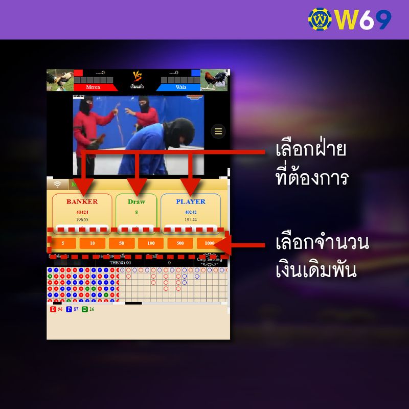 W69 เล่นชนไก่-02